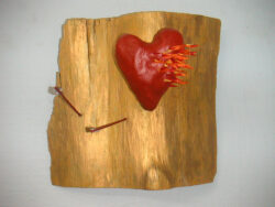 MINOLTA DIGITAL CAMERA