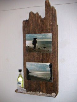 MINOLTA DIGITAL CAMERA