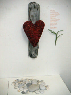 MINOLTA DIGITAL CAMERA