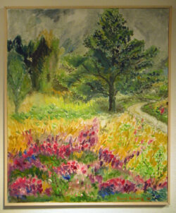 MINOLTA DIGITAL CAMERA