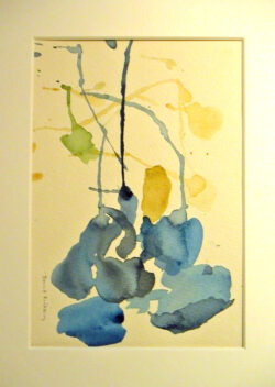 MINOLTA DIGITAL CAMERA