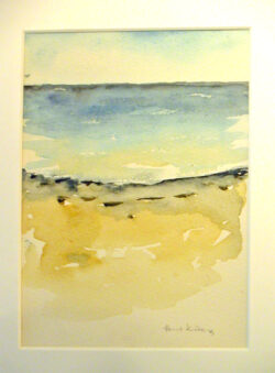 MINOLTA DIGITAL CAMERA