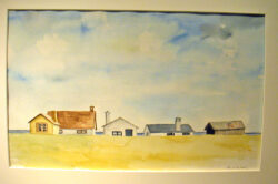 MINOLTA DIGITAL CAMERA